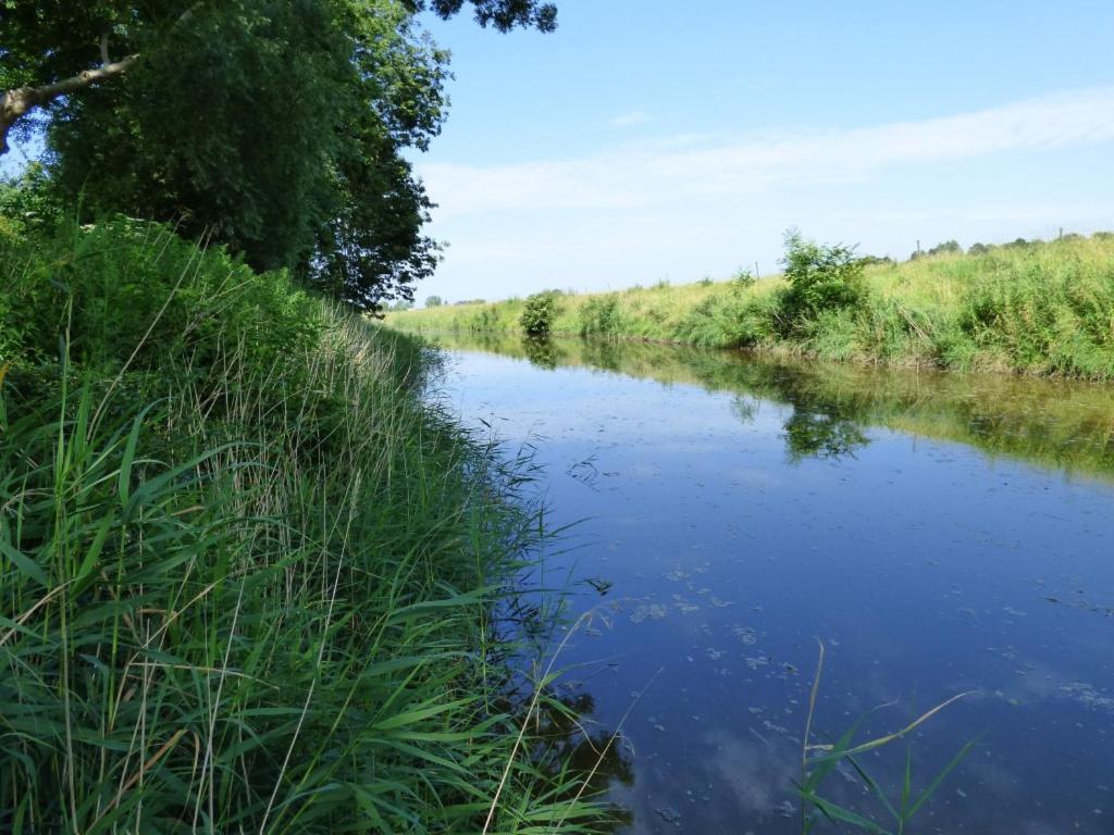 Wasserkoog 22 Tetenbull Buitenkant foto